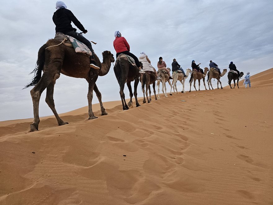 Caravane de dromadaires sur les dunes orange du Sahara au coucher du soleil