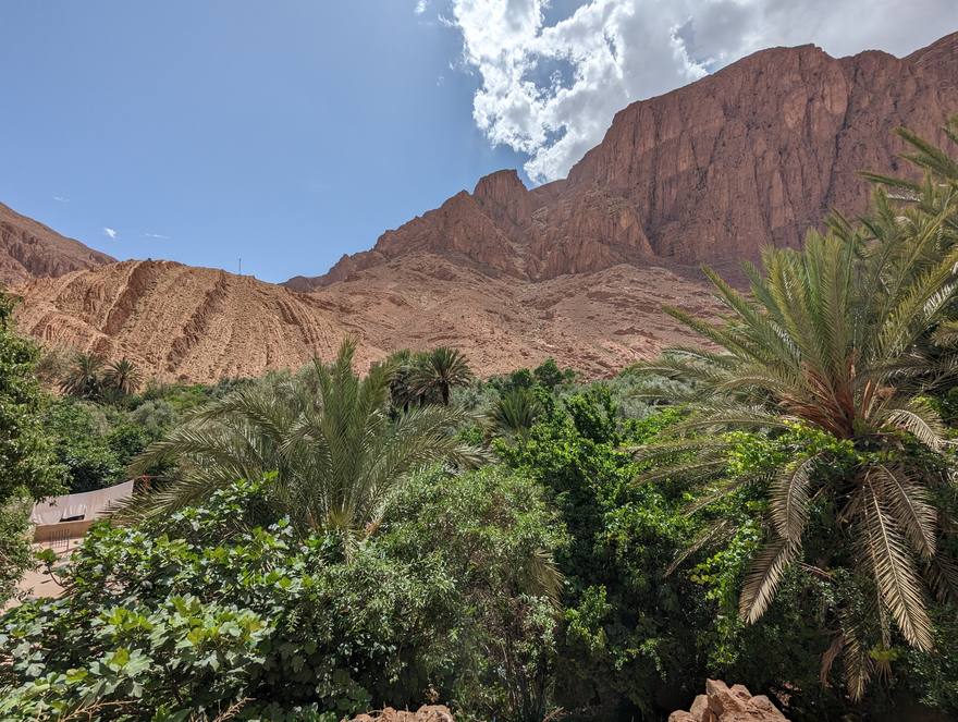 Palmeraie luxuriante au pied de falaises rouges dans une gorge du Sud marocain